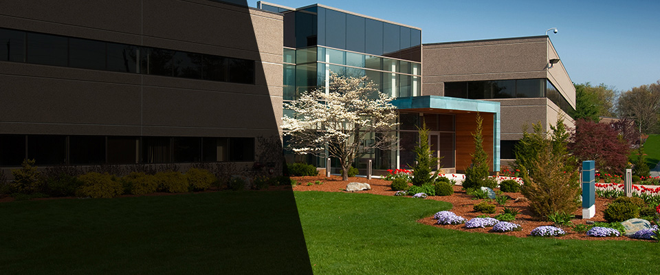 Modesto Landscapers