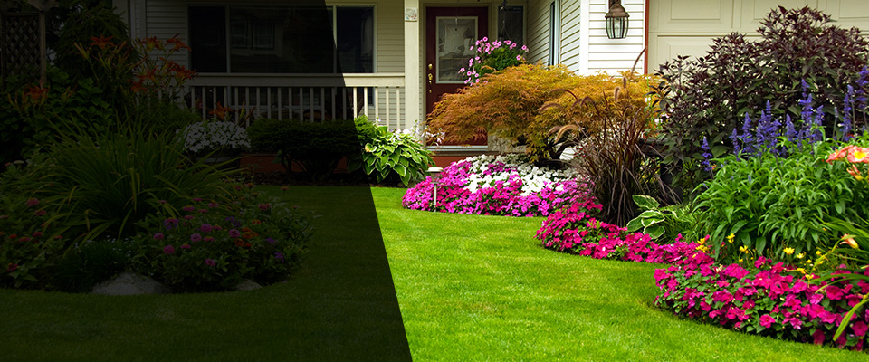Modesto Landscapers