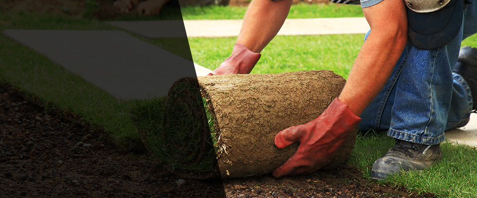 Modesto Landscapers